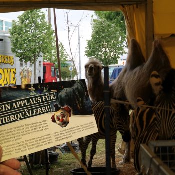 Kein Applaus für Tierquälerei beim Circus Krone