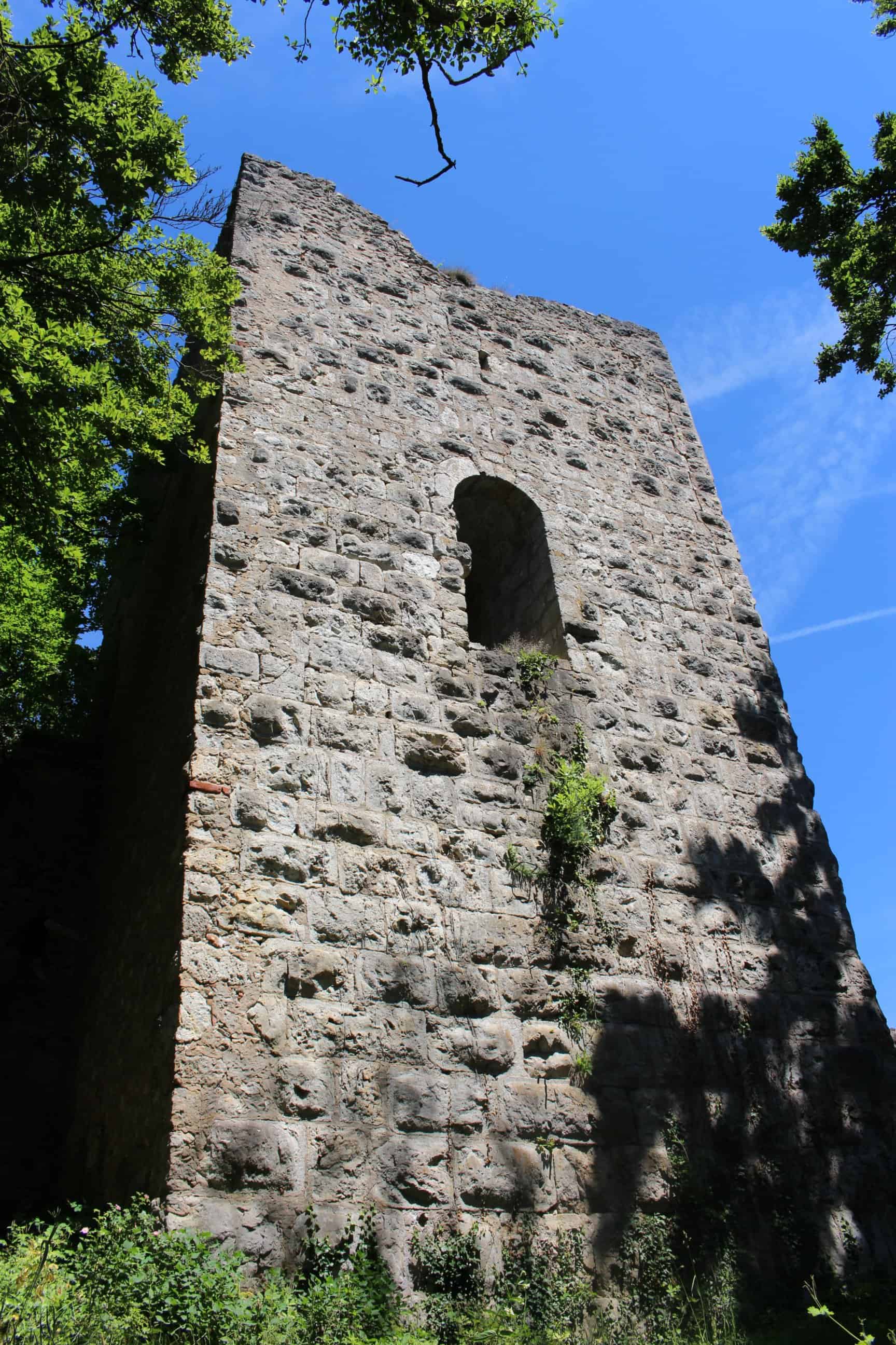 Schildmauer und Bergfried