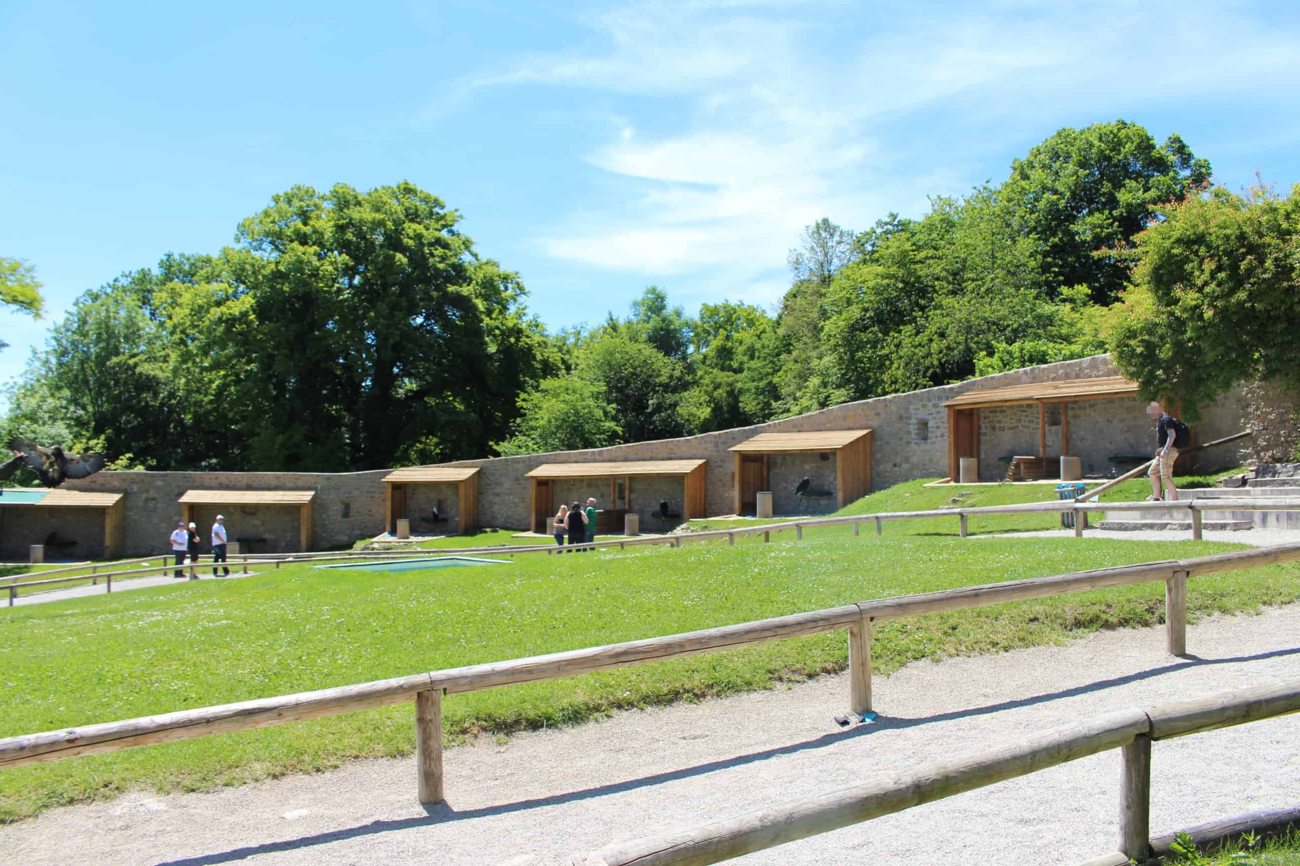 Rosenburg und Burghof mit Greifvogelausstellung