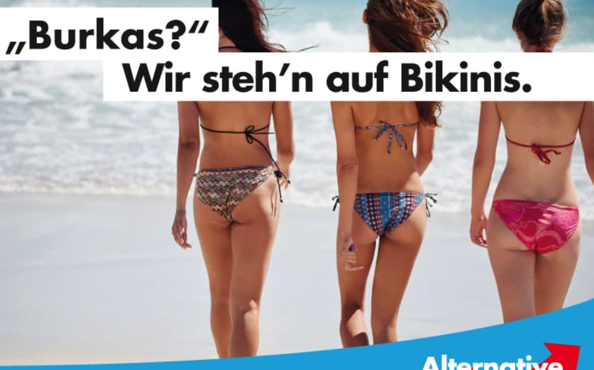 Quelle: Screenshot von www.afd.de