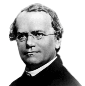 Gedenktag: Gregor Mendel