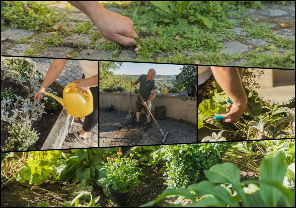 Unkraut jäten, pfanzen und Pflegearbeiten wurden durchgeführt