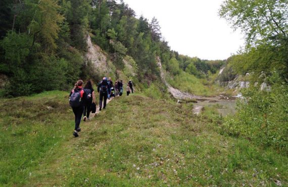 Pfahlwanderung Viechtach