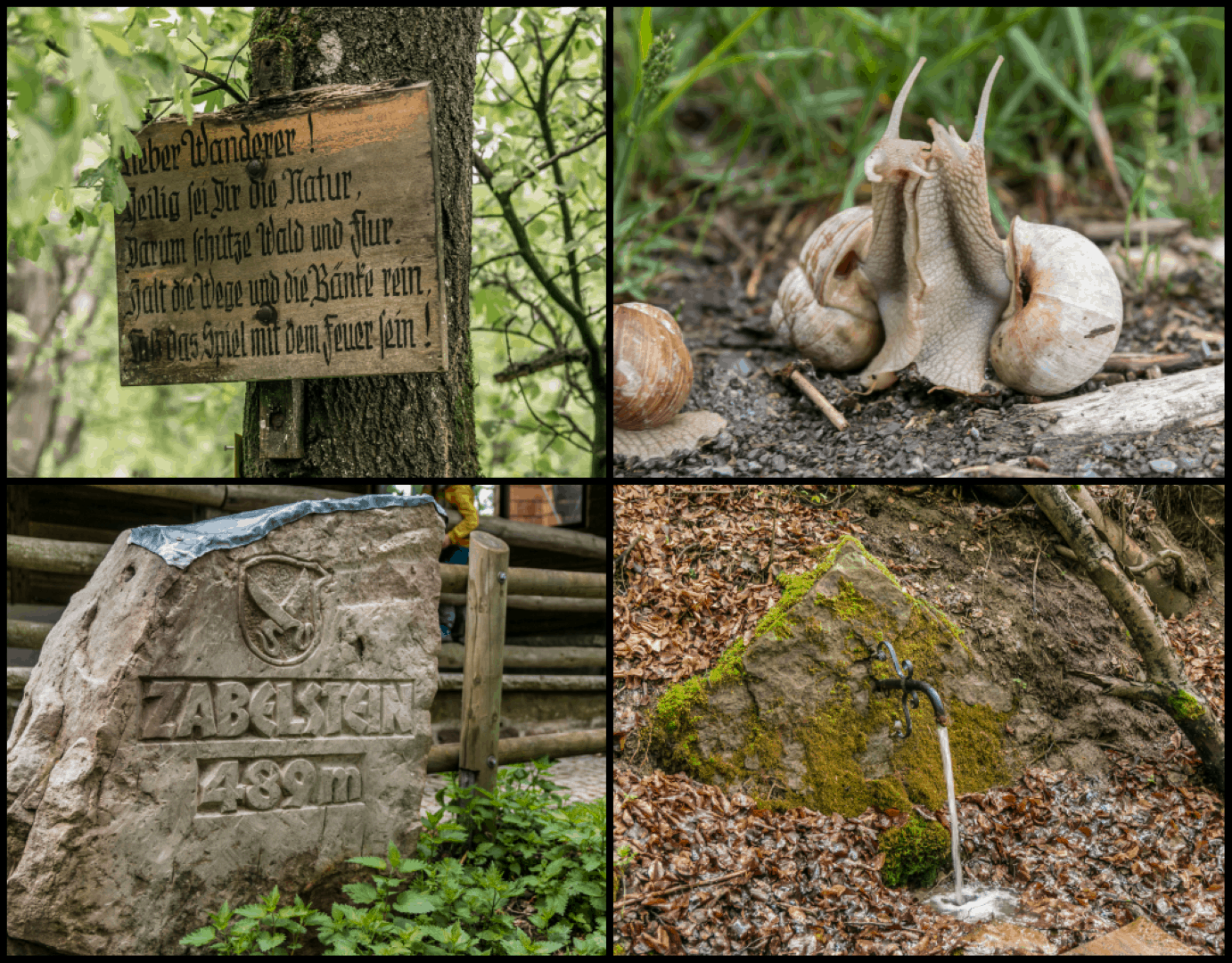 Schönes Hinweisschild am Wegesrand, Schnecken in trauter Zweisamkeit, Zabelstein und die Grundbachquelle