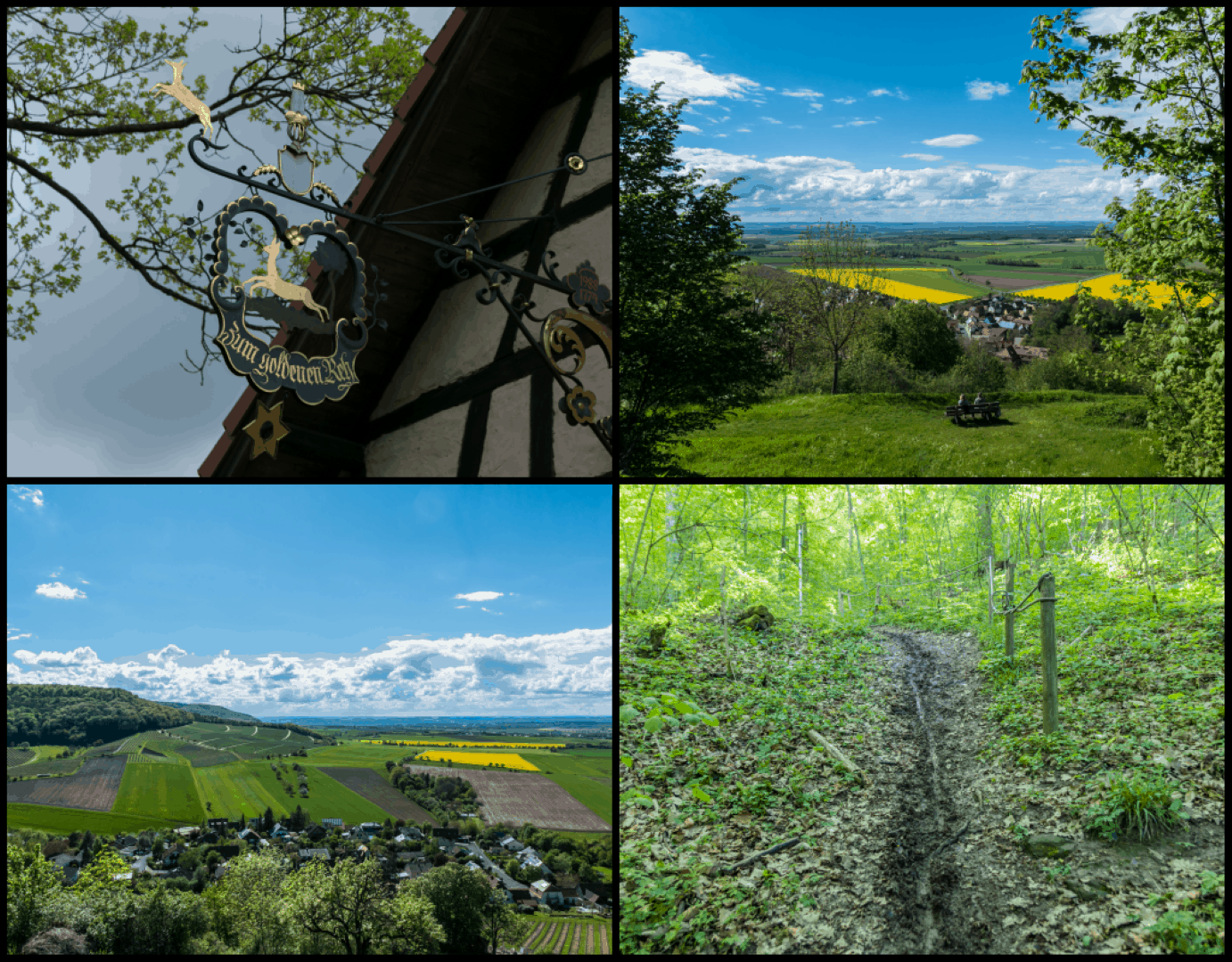 Traumhaftes aber bergiges Weinfranken bei Castell