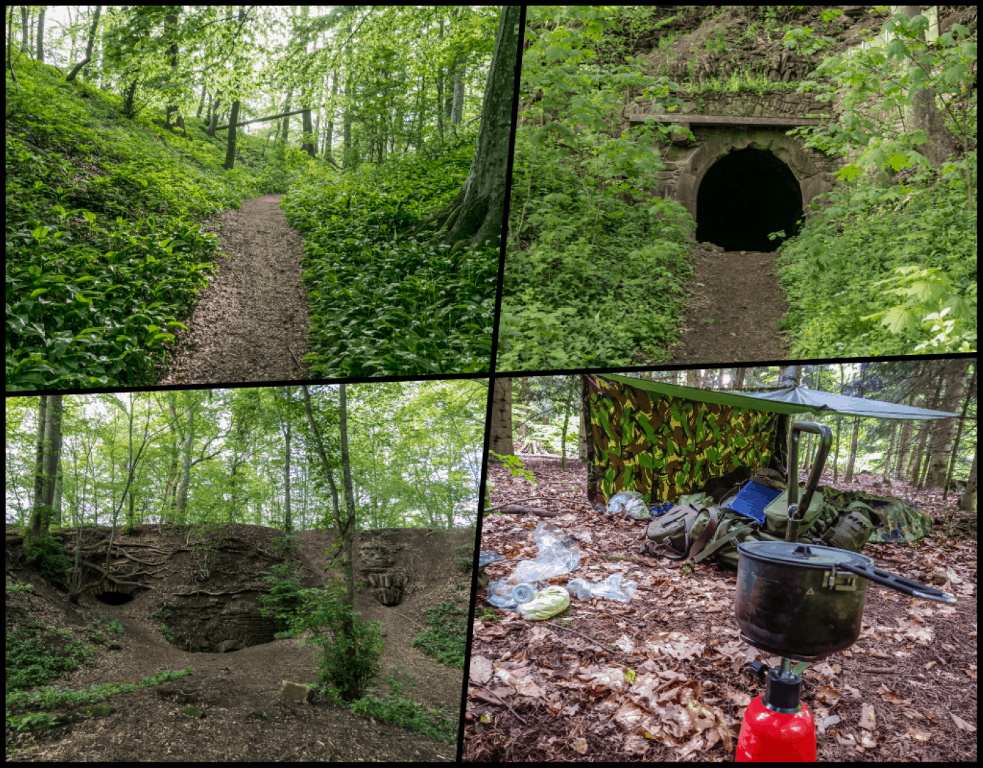 Von Bärlauch eingefasster Pfad, Eingang in das innere der Ruine Hohenlandsberg, im inneren der Ruine, späteres Lager im Wald