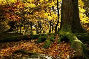 Kultur- und Wanderausflug im Erzgebirge