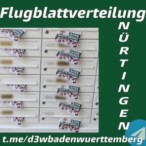 Kriminelle Ausländer raus! – Flugblattverteilung in Nürtingen